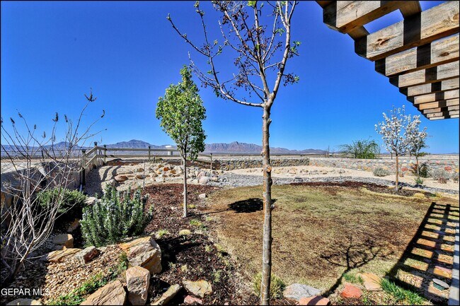 Building Photo - 6952 Black Mesquite Dr