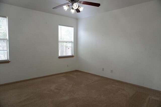 Building Photo - 20319 Little Wing Dr