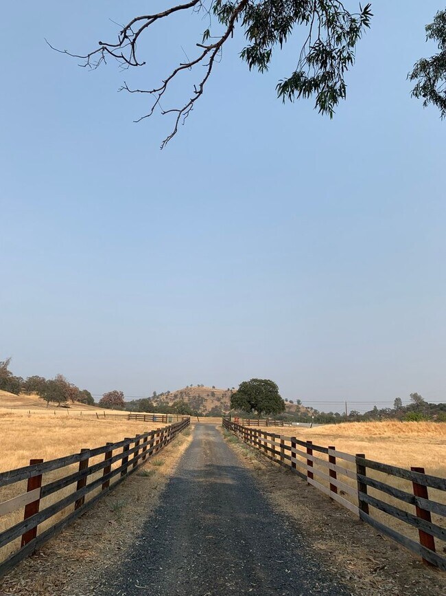 Building Photo - Butte Valley 3 bed 2 bath home, Privacy, n...