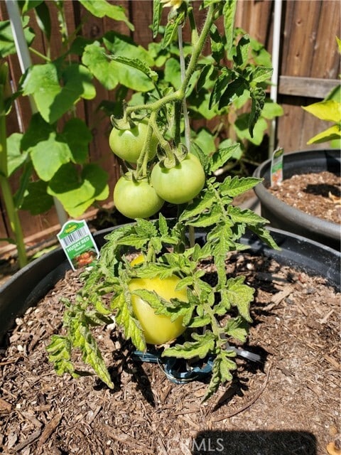 Building Photo - 1309 Hunt Terrace