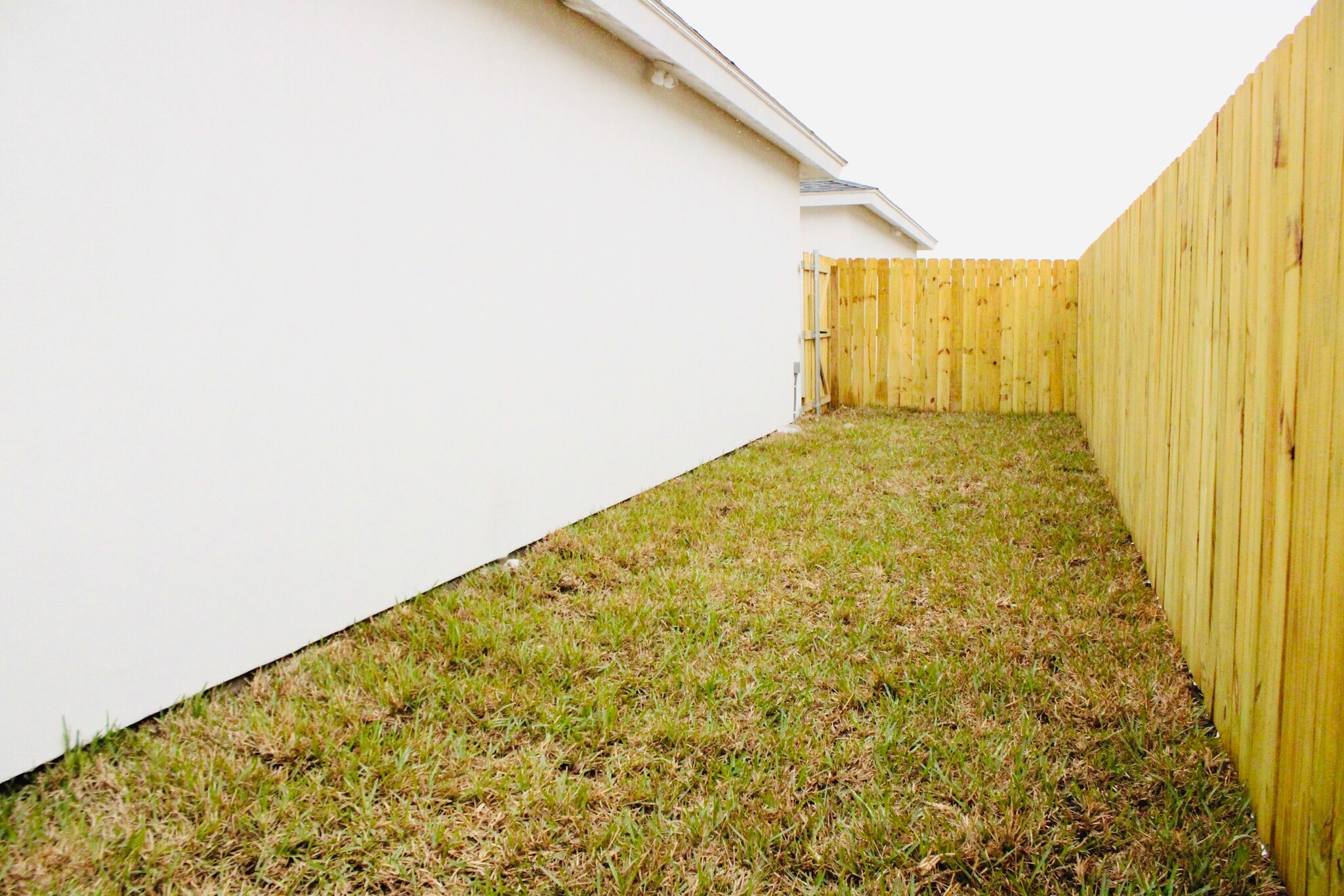 Spacious backyard - 2108 E Viviana St