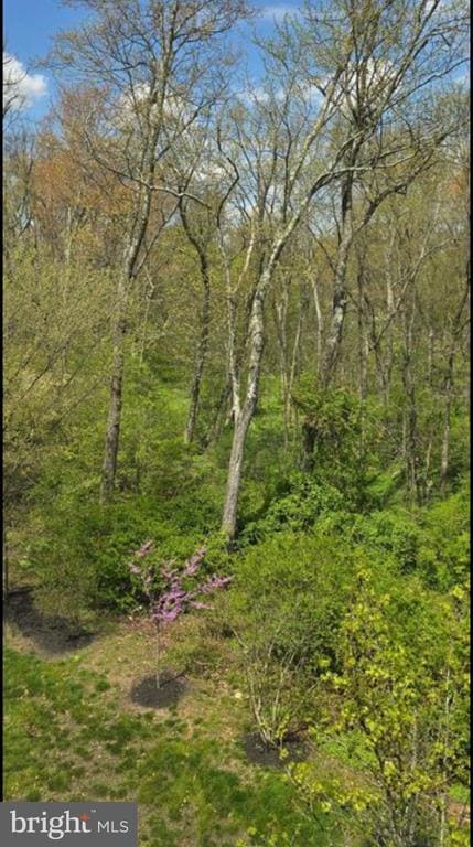 Building Photo - 135 Briarwood Ln