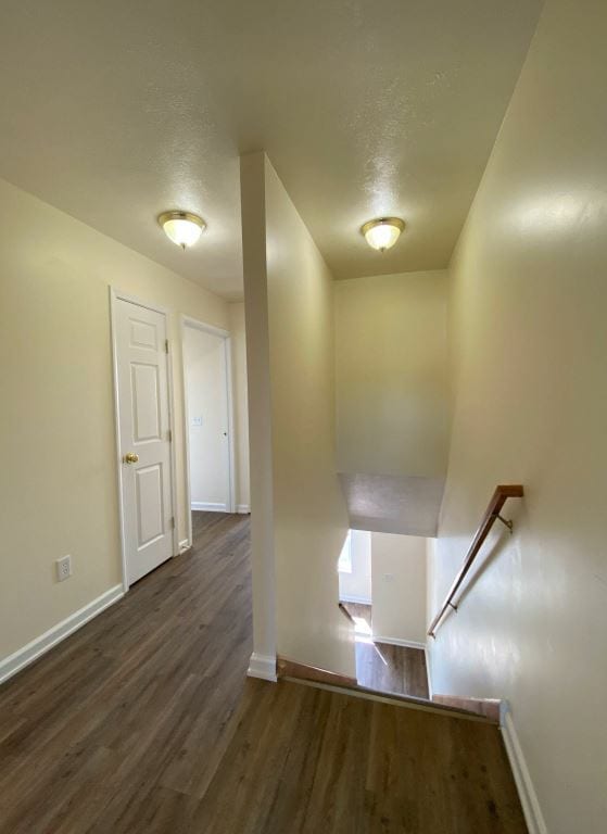 Building Photo - 204 Betsinger Rd