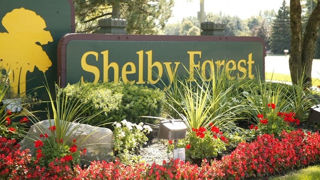 Building Photo - Shelby Forest