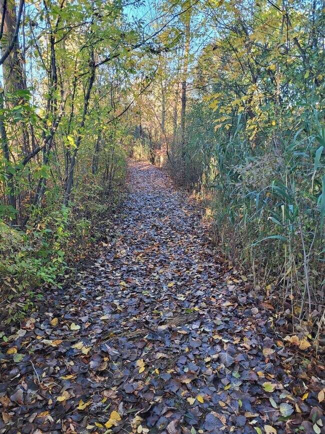 Building Photo - 11719 21 Mile Rd