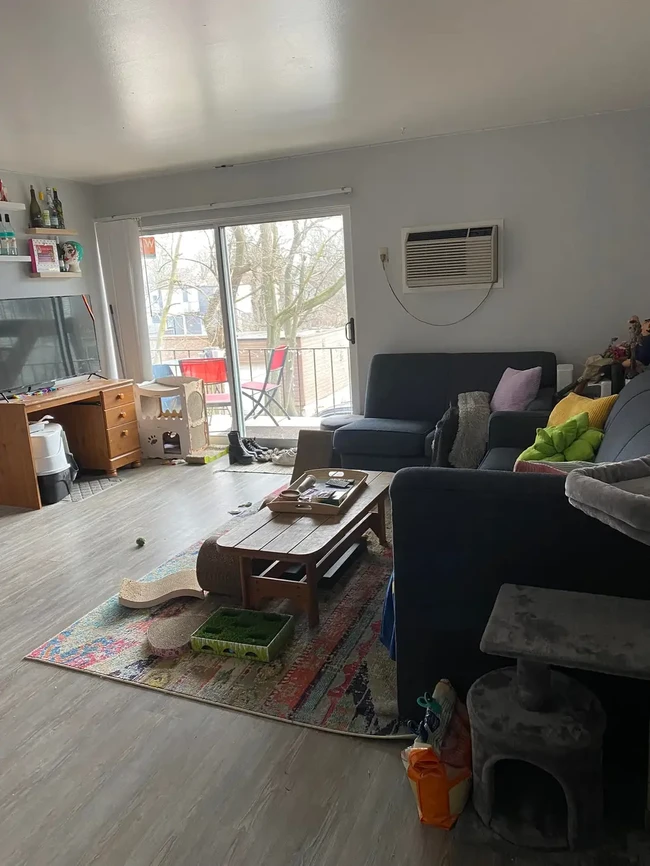 Living room - 1506 Geddes Ave