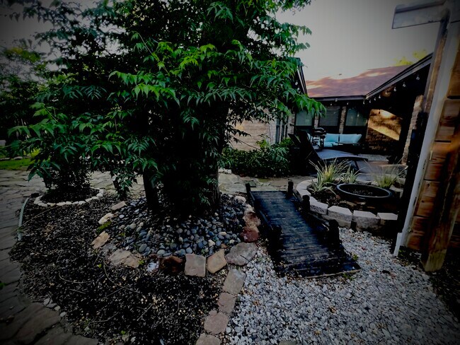 Backyard - 8 Llano Drive