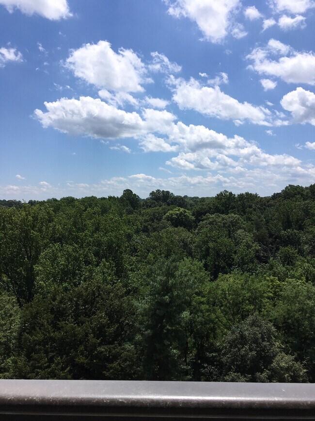 Building Photo - 3800 Powell Ln