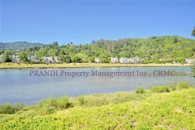 Building Photo - 2 Bedroom Condo with Waterfront Mt Tam Views