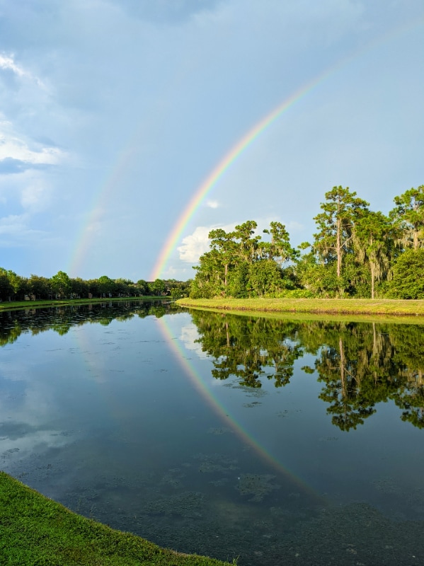 Building Photo - 6828 Holly Heath Dr