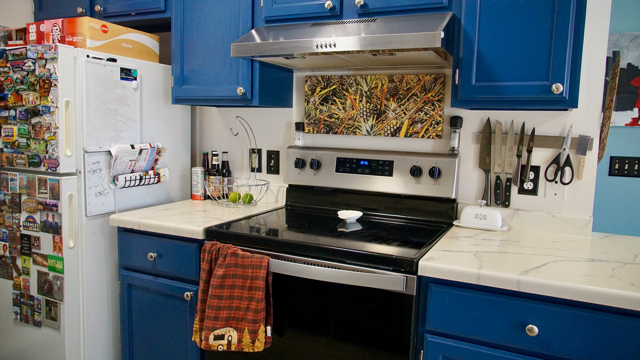 Stainless steel appliances and navy cabinets. - 384 Minz Park Cir