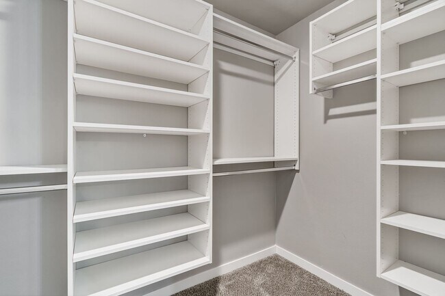 Building Photo - Gorgeous Three Bedroom/Two Bathroom