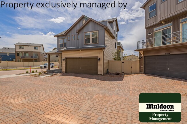 Primary Photo - Banning Lewis Ranch 2 story 3 bed 2.5 bath...