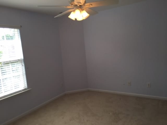 Building Photo - 255 Joshua Glen Ln