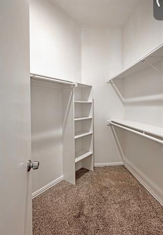 Building Photo - 8423 Creekbluff Dr