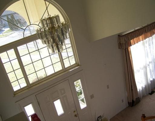 Building Photo - 2341 Timbercrest Ct