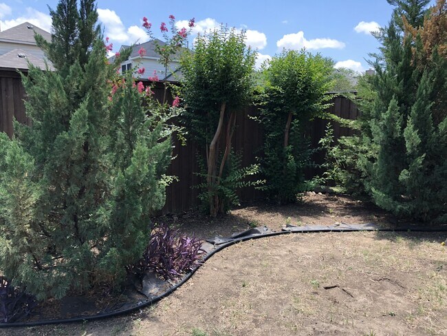 Building Photo - 5 Bedrooms in Richardson!