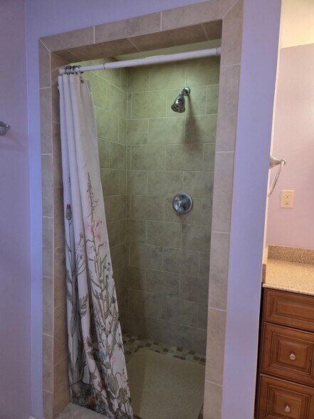 Bathroom walk-in shower - 4422 Walmsley Ave