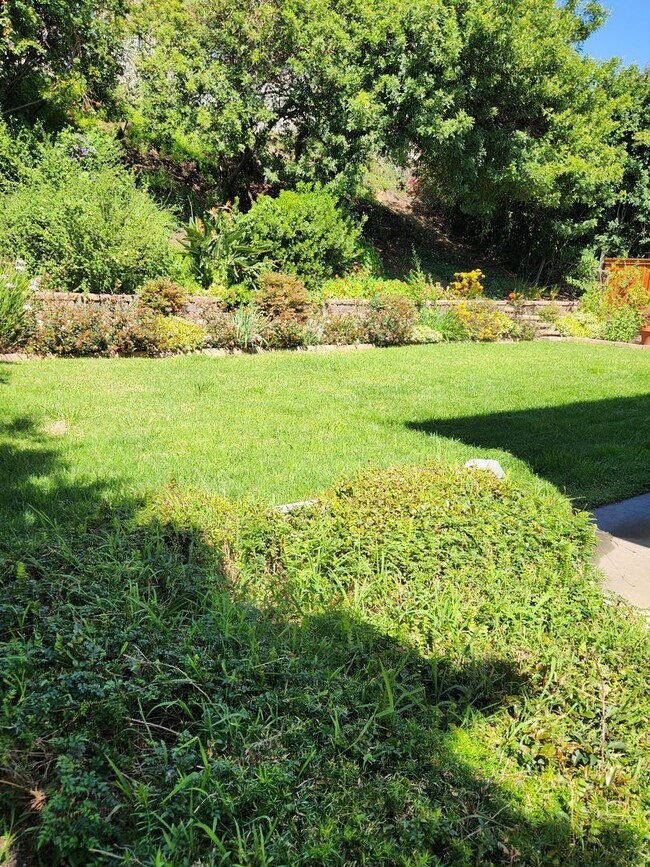 Building Photo - University City 4 bed home, Quiet street, 1950 Sqft