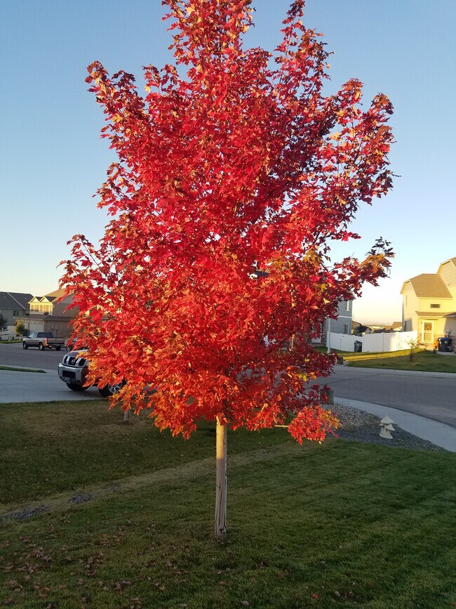 Building Photo - 4113 Gunsmoke Rd