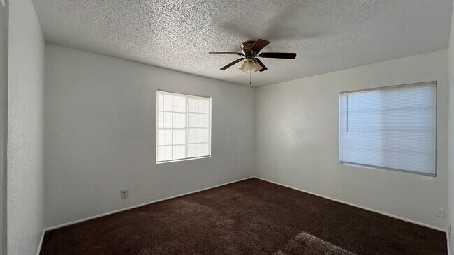 Building Photo - P008