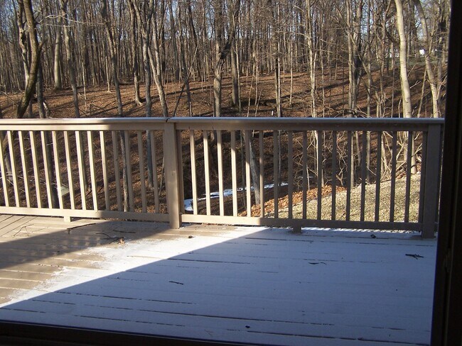 back deck - 1527 Myrtle Dr