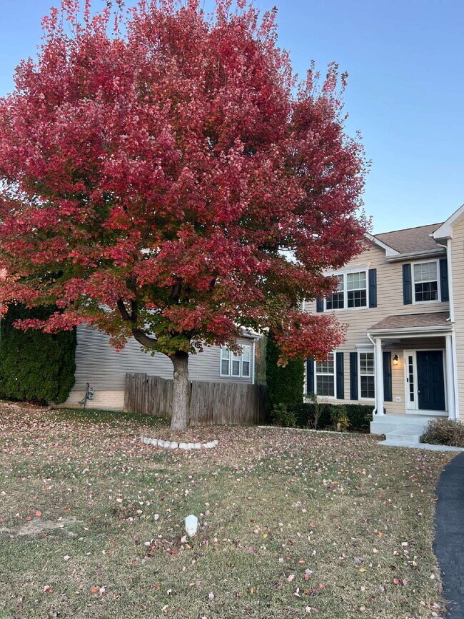 Building Photo - Move-in Special: HALF OFF off of the first...