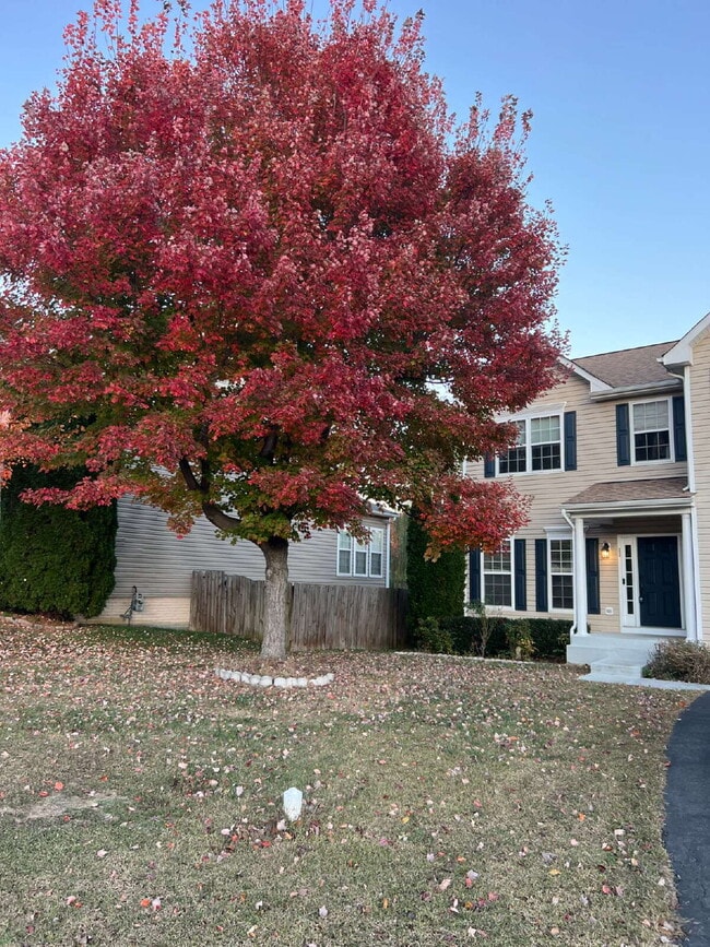 Building Photo - Move-in Special: HALF OFF off of the first month's rent! Stunning 4-5 Bedroom Home for Rent in En...