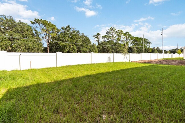 Building Photo - Beautiful 4/2 Energy Efficient Home in St....