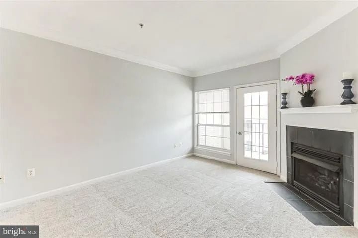 Living Room - 4852 Eisenhower Ave