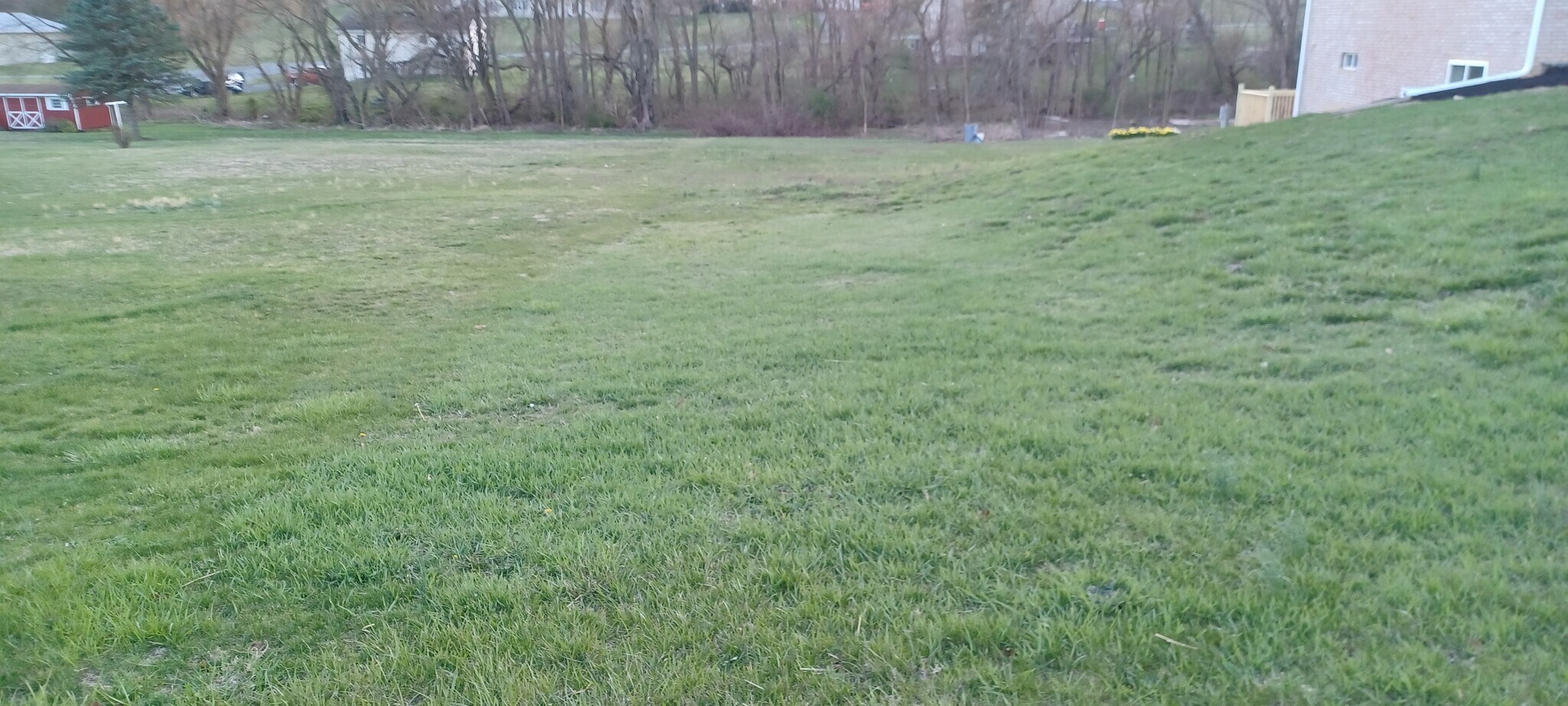 Side Yard - 12402 Buchanan Trl W