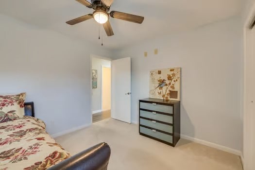 Building Photo - 5013 Emerald Dr