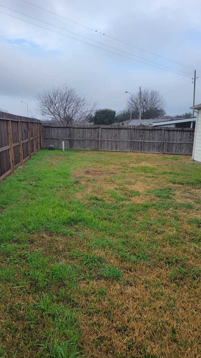 Building Photo - 14955 Sugar Sands Dr