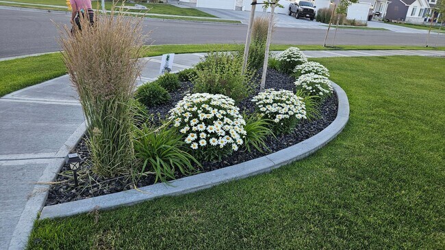 Building Photo - 3 Bed 2 Full Bath home