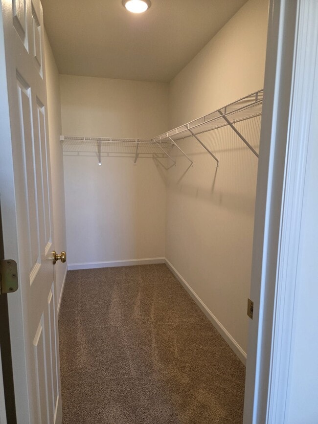 Building Photo - 103 Windrow Drive