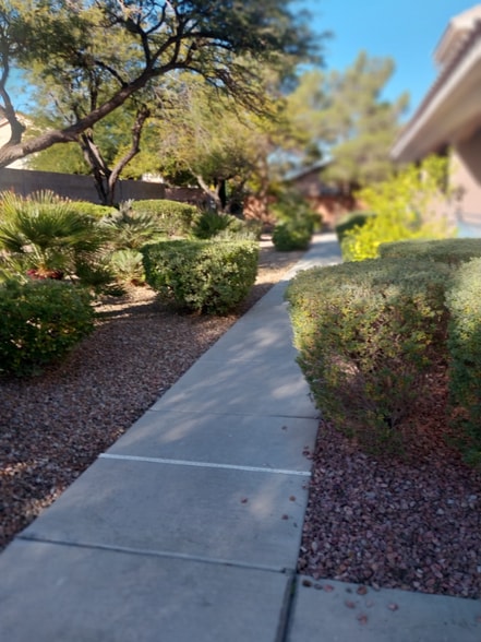 Primary Photo - 10552 Pine Pointe Ave