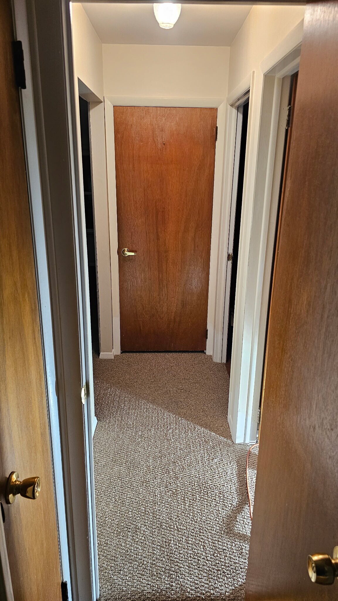 Hall to Bath & Bedrooms - 2363 Mount Carmel Ave