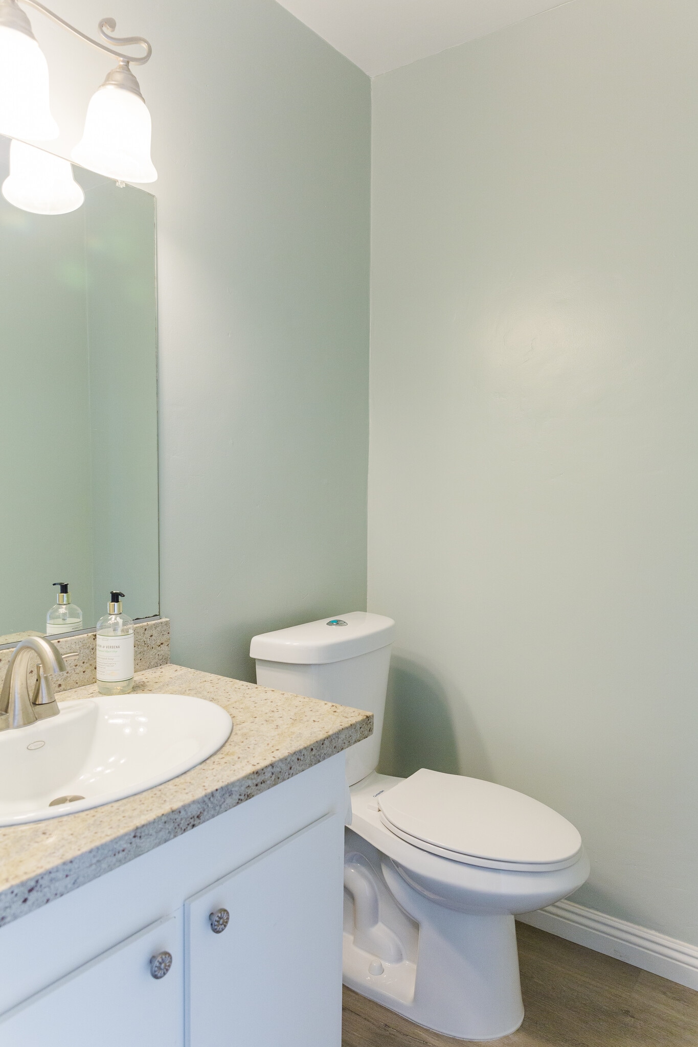 Downstairs Bathroom - 712 Silver Dr