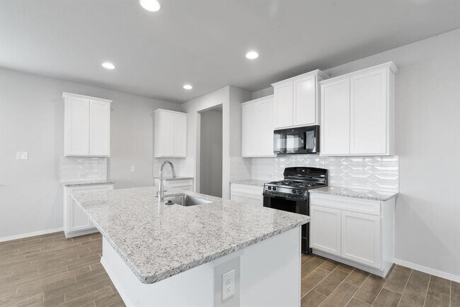 Building Photo - 447 Spiny Lizard Ln