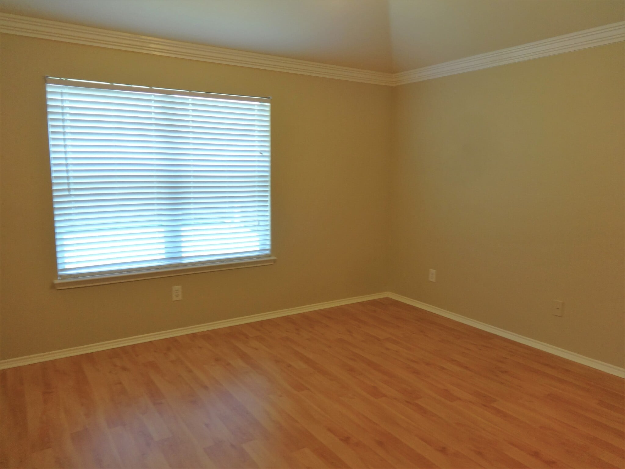 Building Photo - 1909 Wahoo Dr