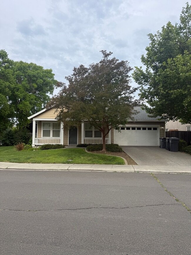 Building Photo - Beautiful Large Home in Wildhorse