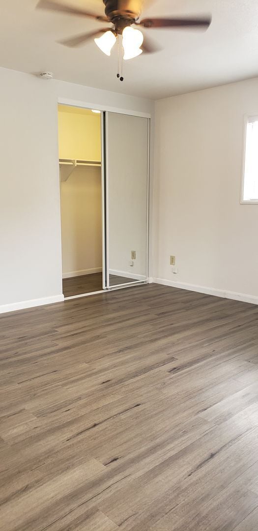 Building Photo - $1000 REBATE! Studio cottage with AC! - Desirable neighborhood (Amherst)
