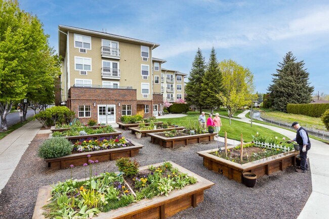 Community Garden - Terraces at Summitview