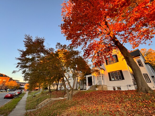 Building Photo - 630 Jefferson Ave