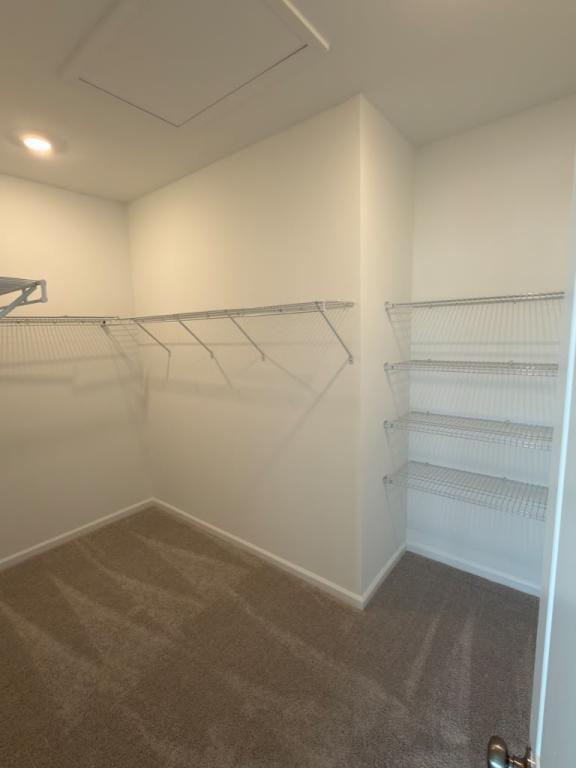 Building Photo - 5161 Marlberry Ct