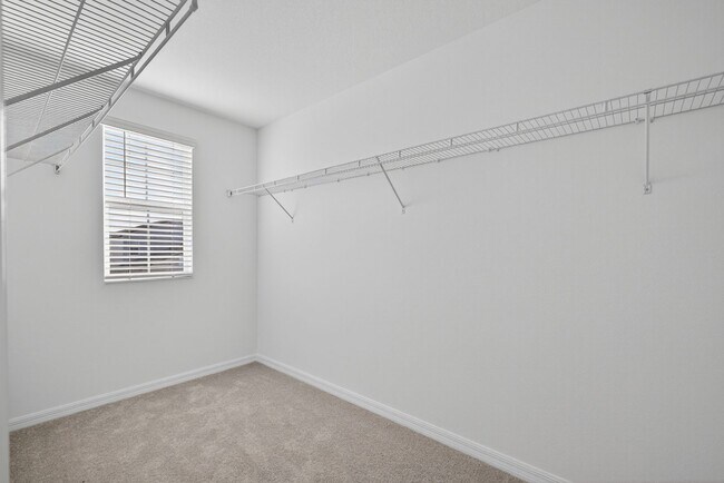 Building Photo - Brand New 6-Bed Available Now!