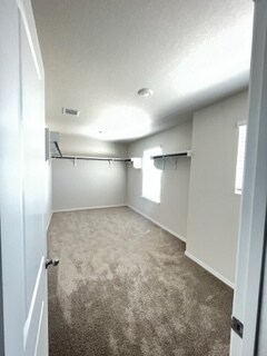 Building Photo - 5246 Scoria Trl
