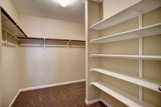 Building Photo - 319 Wildcat Dr