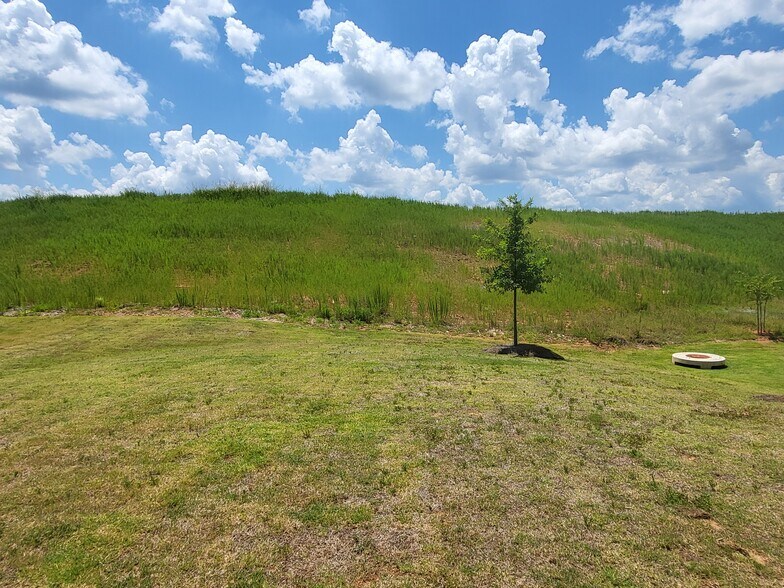 Backyard - 250 Sope Creek Cir
