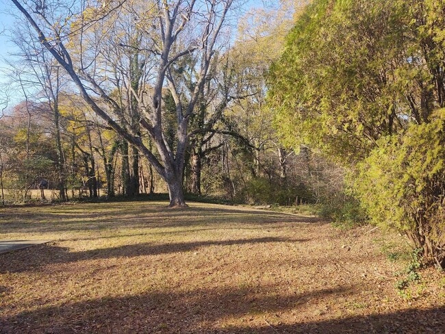 Building Photo - 4 bedroom 2 bathroom house available!   Freshly Painted-New Flooring